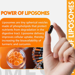 ingreens turmeric capsules per bottle for daily joint support