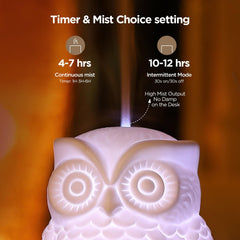 Inrorans diffuser showing LED color cycle for mood lighting and scent ambiance.
