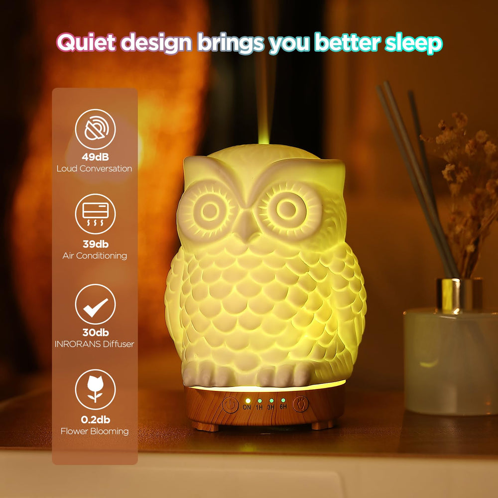 Inrorans diffuser releasing mist to scent a cozy room.