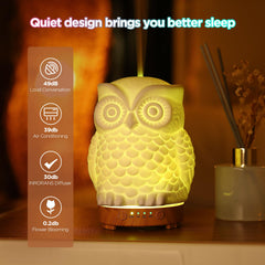 Inrorans diffuser releasing mist to scent a cozy room.