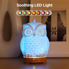 Inrorans porcelain owl diffuser highlighting the owl shape for elegant decor.