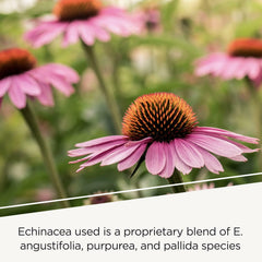 Vitamins A, C, B6 and zinc in EHB support wellness today.