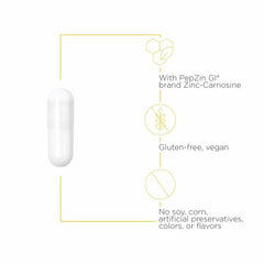 Integrative Therapeutics Zinc-Carnosine capsules laid out for convenient daily digestive routine