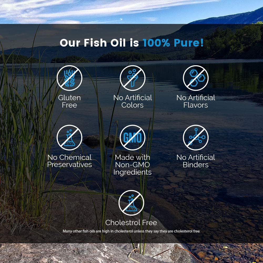 Intelligent Labs Triglyceride Omega-3 bottle with third-party testing certificate.