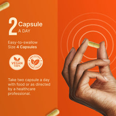 INVITA use scenario shows a daily routine integrating balance and muscle support.