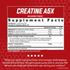 isatori creatine a5x scoop-dispensing shows convenient 4g serving for workouts