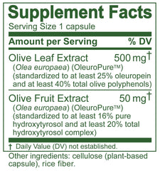 Graphic of Island Nutrition olive leaf extract showing 40% olive polyphenols