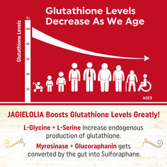 Jagielolia Liposomal Glutathione serine-glycine blend close-up, precursor support.