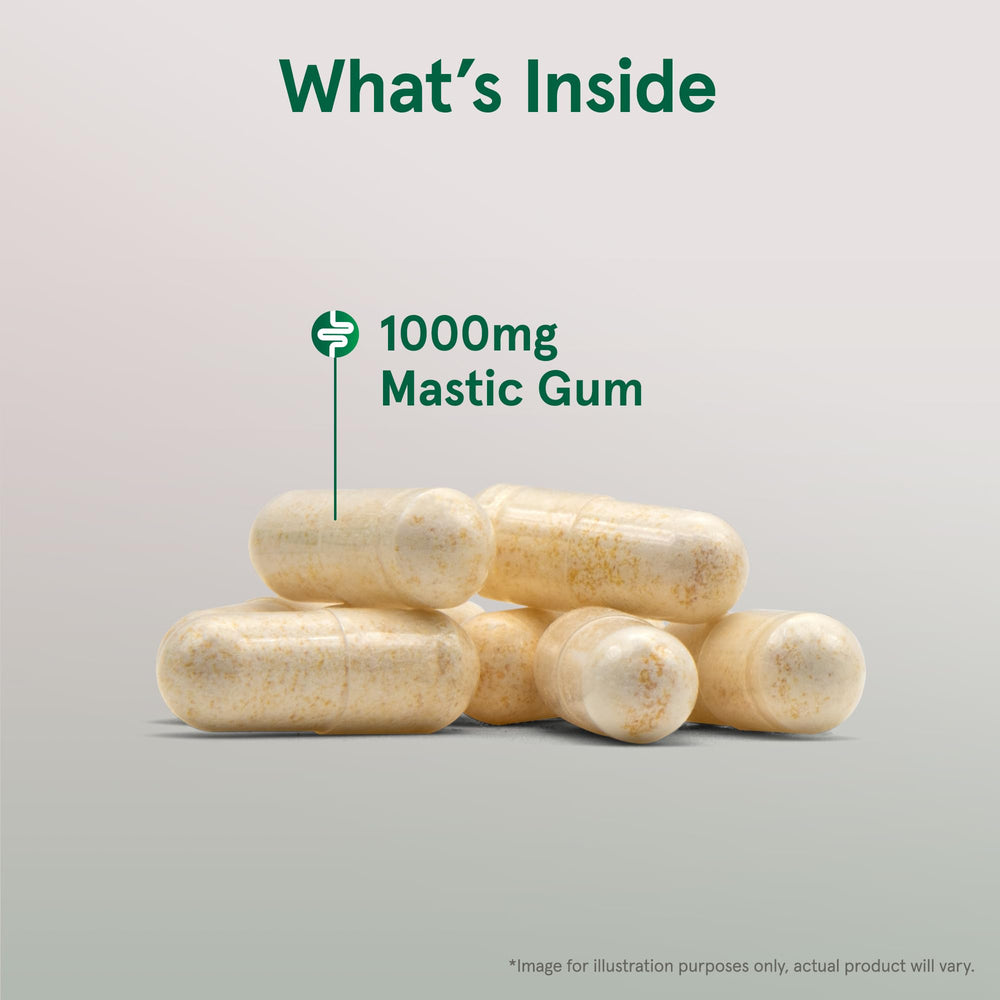 VeGuide veggie caps label on Jarrow Formulas Mastic Gum bottle