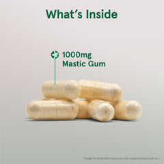 VeGuide veggie caps label on Jarrow Formulas Mastic Gum bottle
