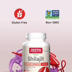 Graphic showing Co-Q10 synergy with Shilajit for mitochondria.