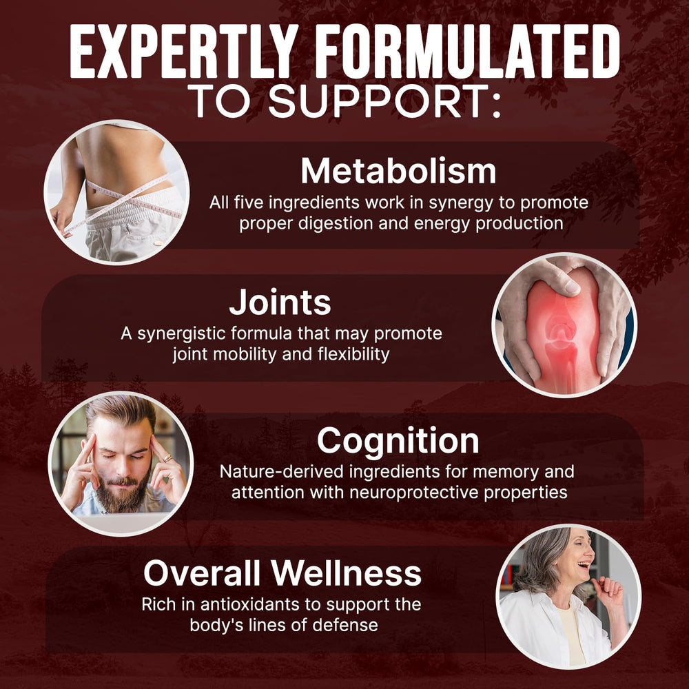 JB Wellness Co berberine banaba capsules blend for steady routines.