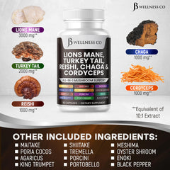 JB Wellness Co Marshmallow root powder signals traditional herbal support