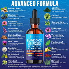 JB Wellness Co Organic herbs ingredients showcase burdock, echinacea, elderberry for immune-friendly notes.