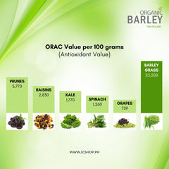 JC Barley Grass Juice Powder three-box bundle on shelf suggests value and routine
