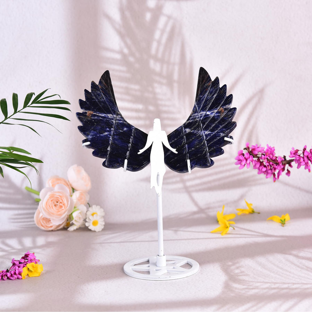JIC Gem angel wings display blue sodalite ideal for gifting and calm spaces