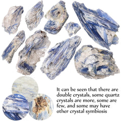 JIC Gem blue kyanite rough matrix detail showing natural imperfections and variety.