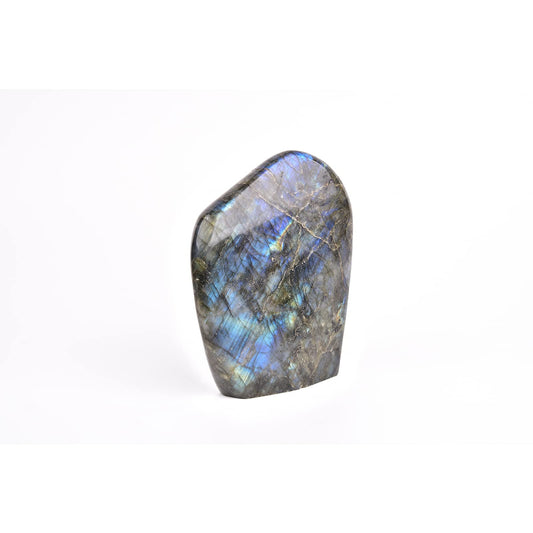 JIC Gem Labradorite palm stone irregular polished under light reveals rainbow flash for focus.