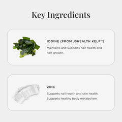 Illustration of sustainably sourced kelp for JSHealth iodine in pristine waters.