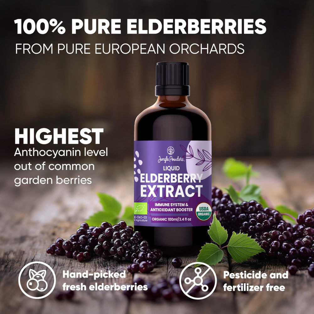 Jungle Powders elderberry syrup teaspoon serving for daily wellness