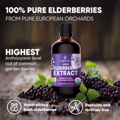 Jungle Powders elderberry syrup teaspoon serving for daily wellness