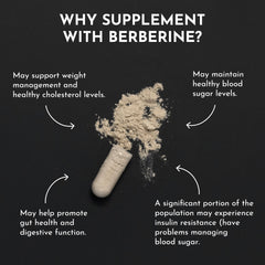 JUST INGREDIENTS Berberine label ingredients featuring organic berberine and transparent sourcing