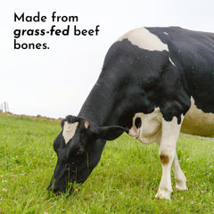 JUST INGREDIENTS snickerdoodle mix with coconut milk or water highlights dairy-free protein option