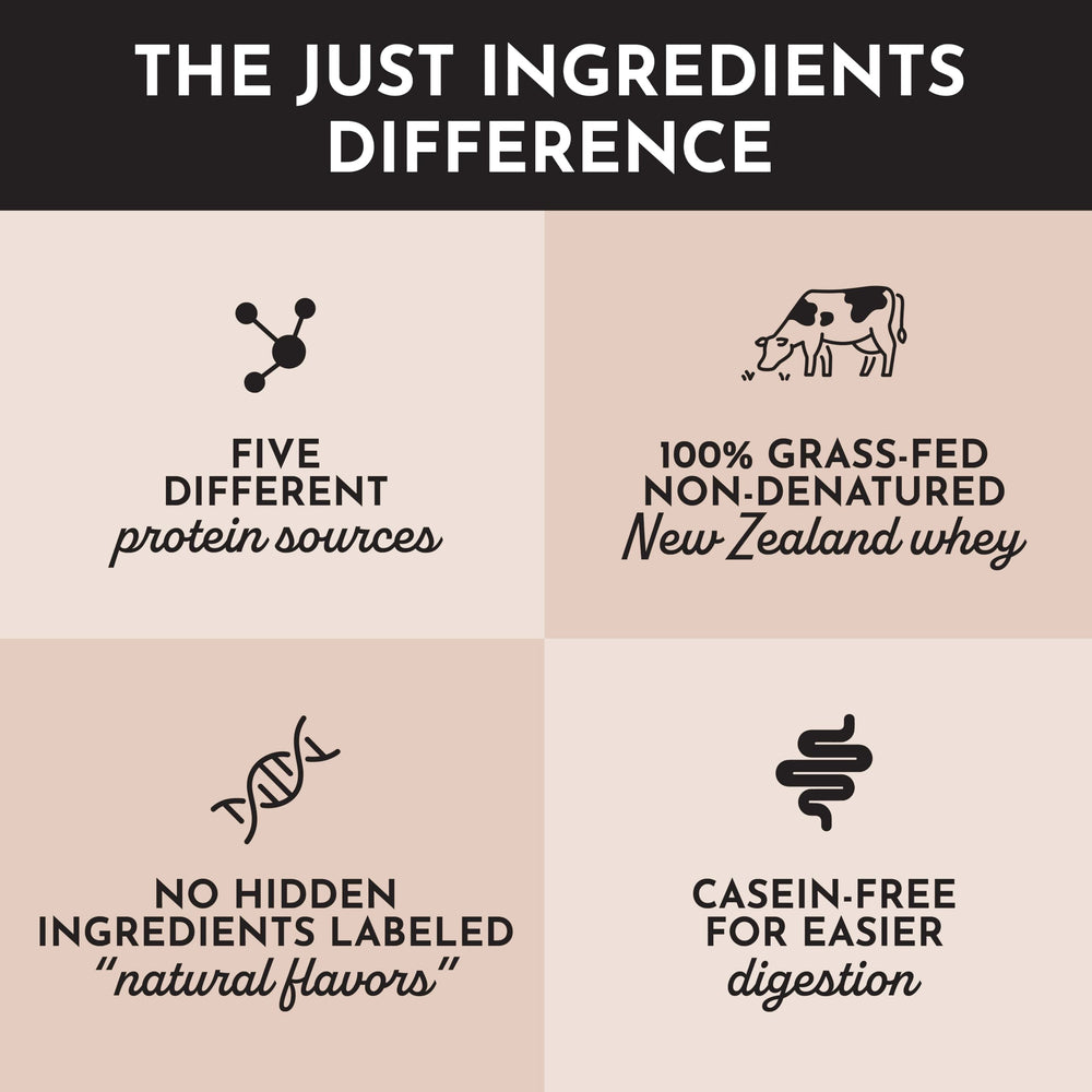 Just Ingredients Chocolate Protein Powder recipe-card suggests convenient snack options