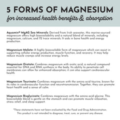 Just Ingredients coconut MCT oil capsules highlighting digestion and absorption support.