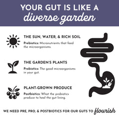 JUST INGREDIENTS inulin prebiotic scoop with probiotic blend for gut health.
