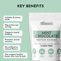 JUST INGREDIENTS Mint Chocolate powder texture closeup shows creamy, lump-free consistency for shakes