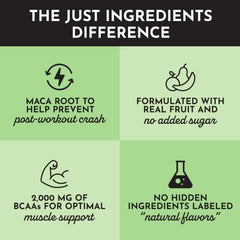 JUST INGREDIENTS Organic fruit and herb blend close-up