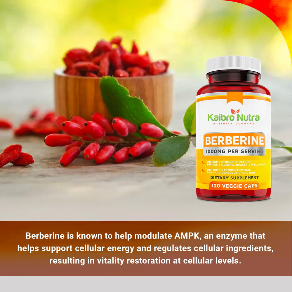 Kaibro Nutra Berberine made-in-USA stamp supports GMP production