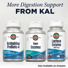 KAL Super Enzymes ingredients illustration emphasizes ginger, fennel, peppermint benefits.