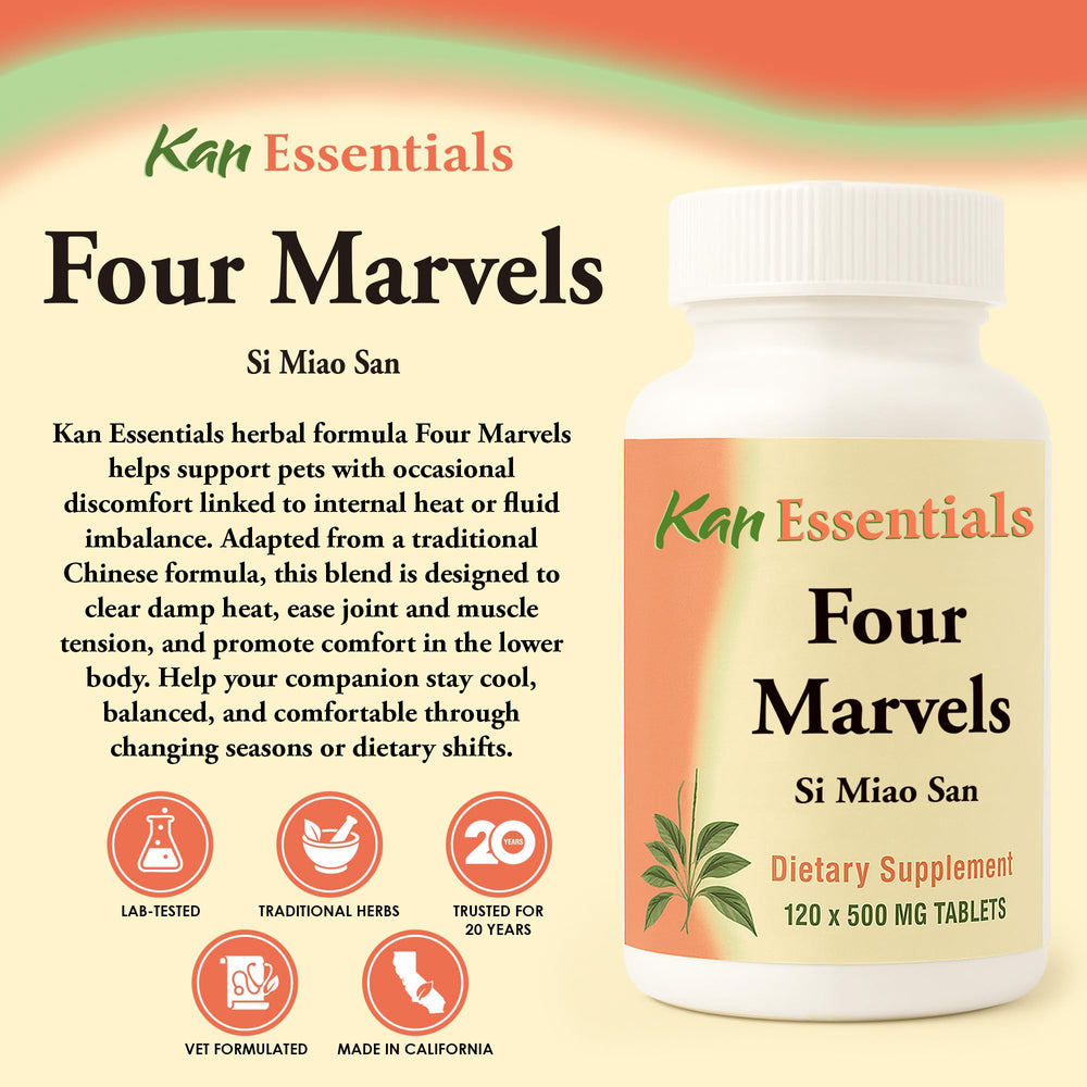 Kan Herb Four Marvels tablets close-up showcases natural herbal formula for wellness.