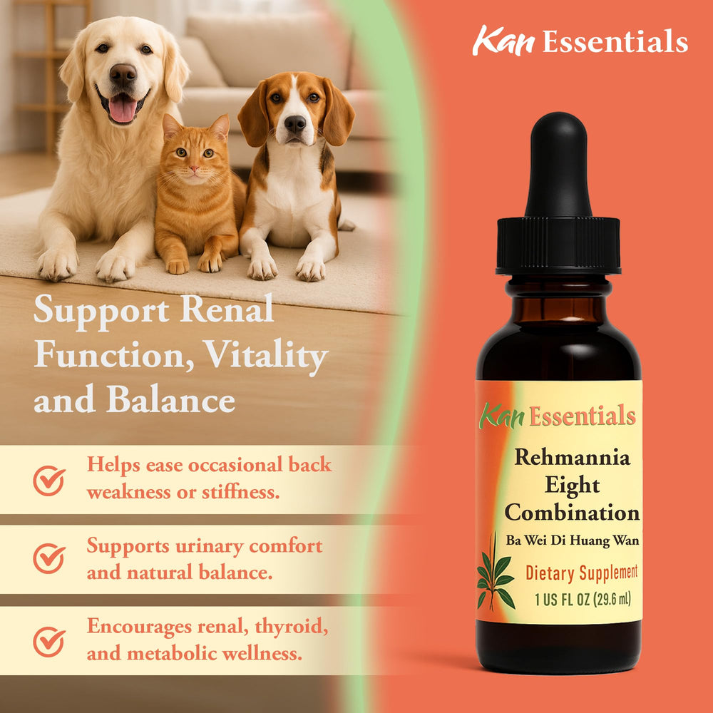 Kan Herb Rehmannia Eight liquid-drops showcases smooth dosing for pets and hydration-friendly support.