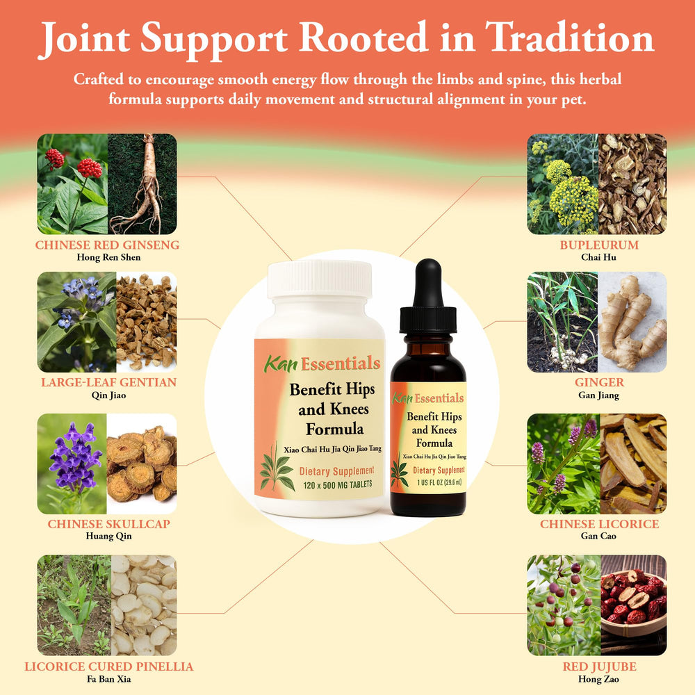 Administering Kan Herbs to a dog, ease of daily joint care.