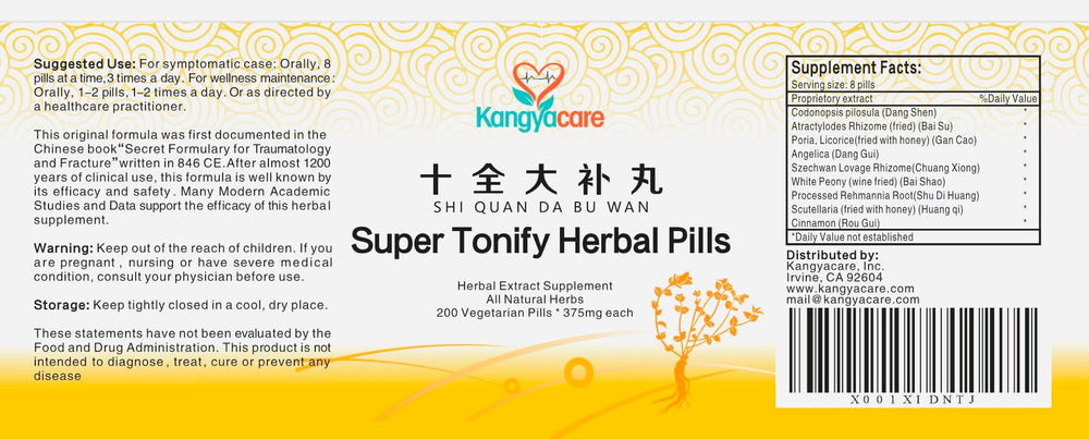 Kangyacare Shi Quan Da Bu Wan two-bottle set ready for an economy pack purchase