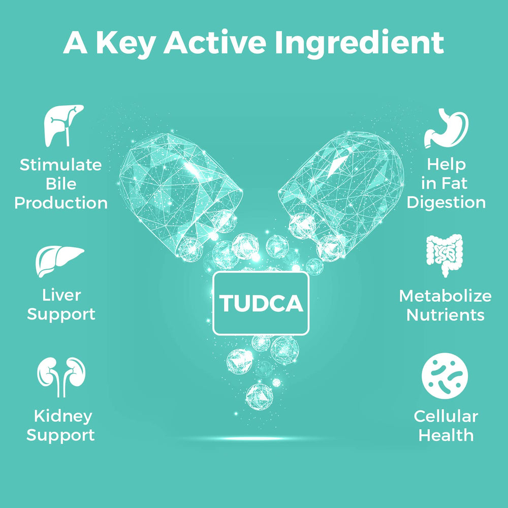 Kayseari TUDCA on a tidy desk scene suggesting everyday use and consistency.
