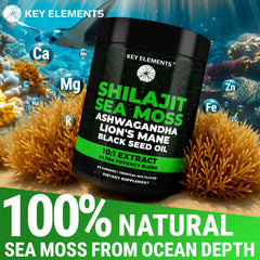 Key Elements Shilajit Gummies with Ashwagandha for soothing daily resilience.