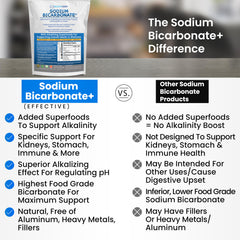 Kidney Restore immune-support scene suggests holistic wellness and daily alkalinity