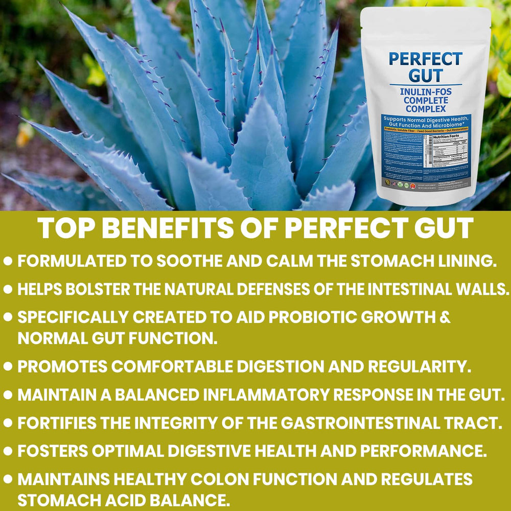 Packaging closeup of Kidney Restore Perfect Gut reveals product details and quality.