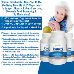 Kidney Restore Sodium Bicarbonate moringa cue indicating natural energy and immune wellness.