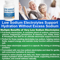Kidney Restore travel-friendly pack sits in a gym bag for daily hydration.