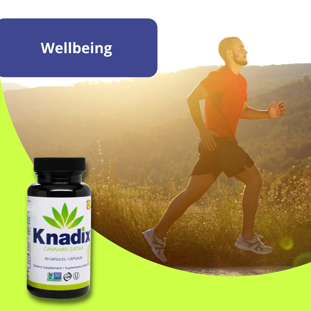 Knadix hemp oil supplement four-bottle pack for convenient use.