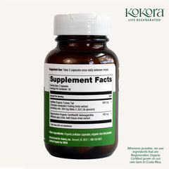 Kokora Organic farming sustainability imagery.