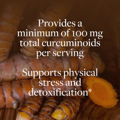 Costa Rican regenerative farm soil scene behind Kokora turmeric for purity