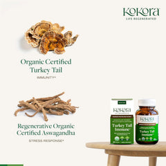 Kokora Turkey Tail mushrooms highlight organic adaptogenic blend.