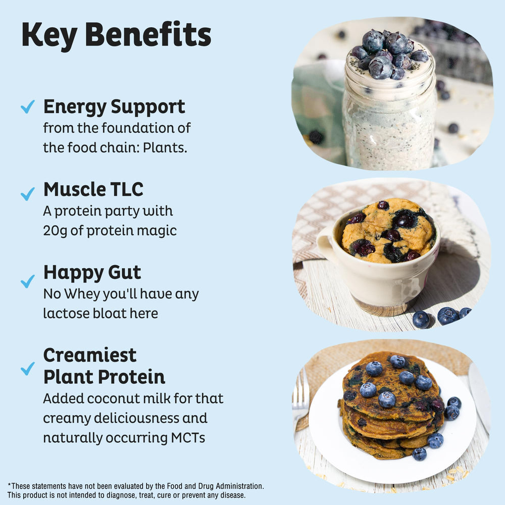 KOS Organic Pea Protein Powder close-up highlighting plant protein source