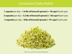 KOYAH USA grown organic broccoli sprouts image
